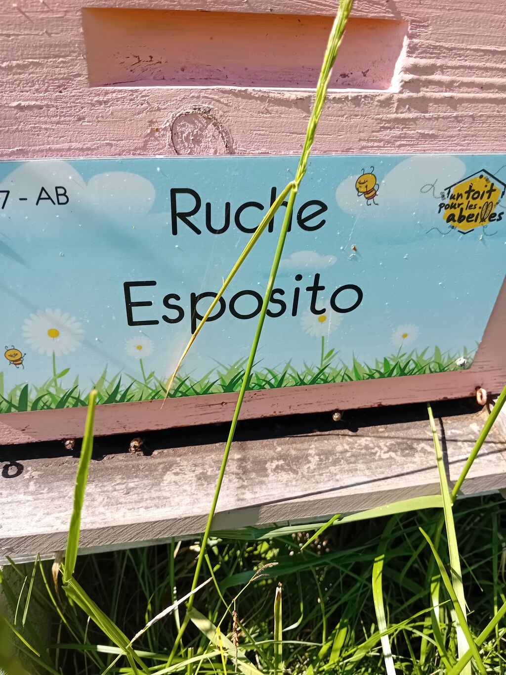 La ruche Esposito
