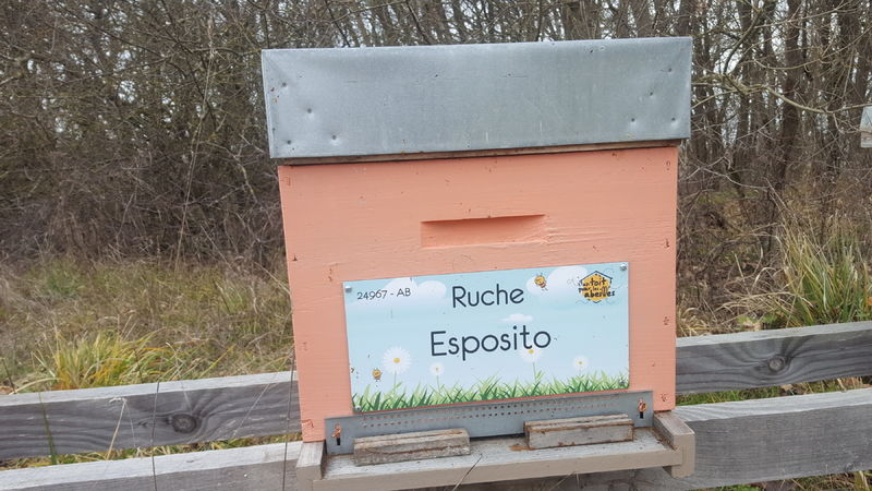La ruche Esposito