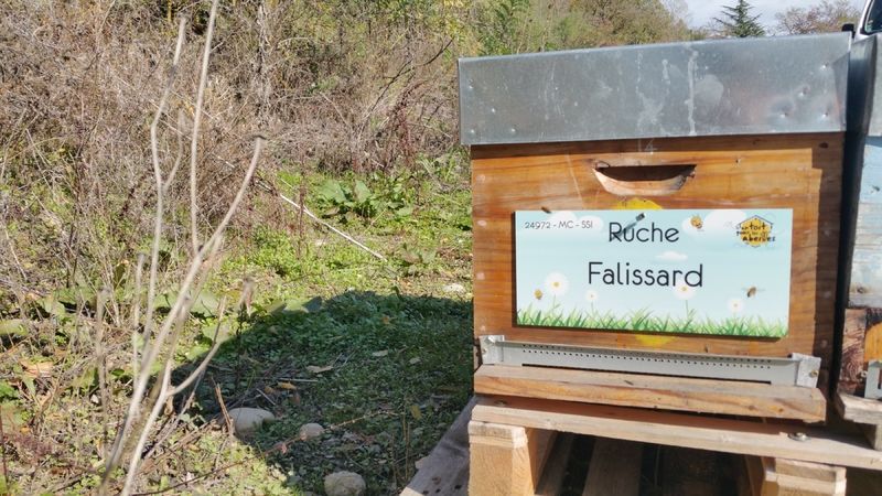 La ruche