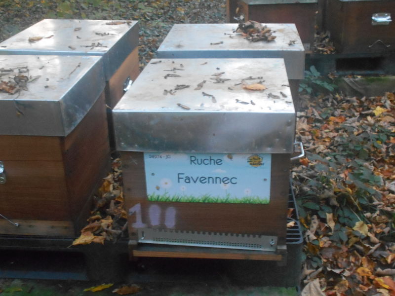 La ruche Favennec