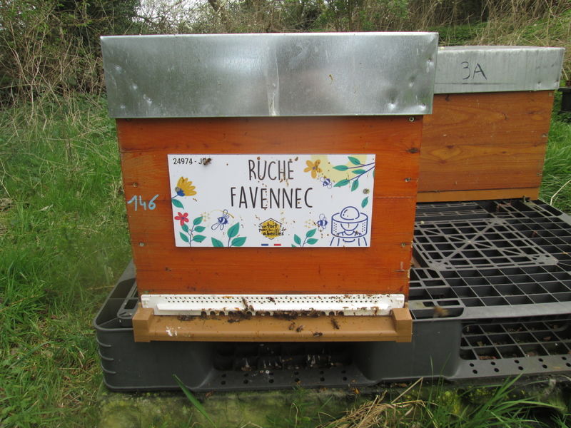 La ruche Favennec