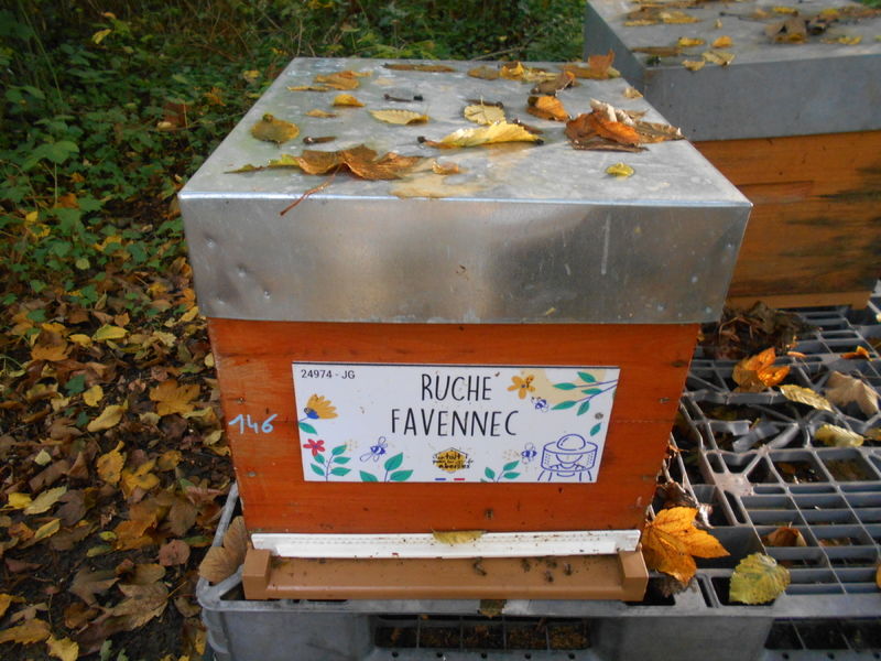 La ruche Favennec