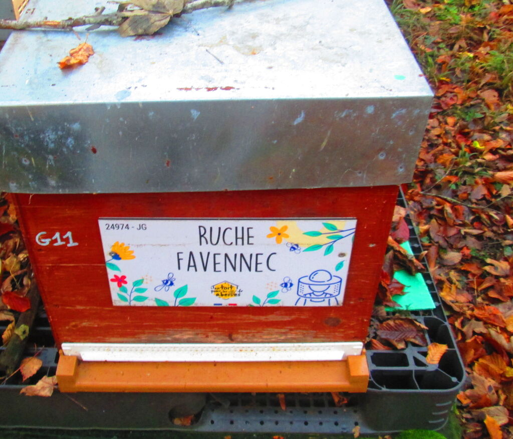 La ruche Favennec
