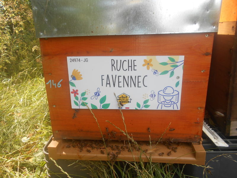 La ruche Favennec