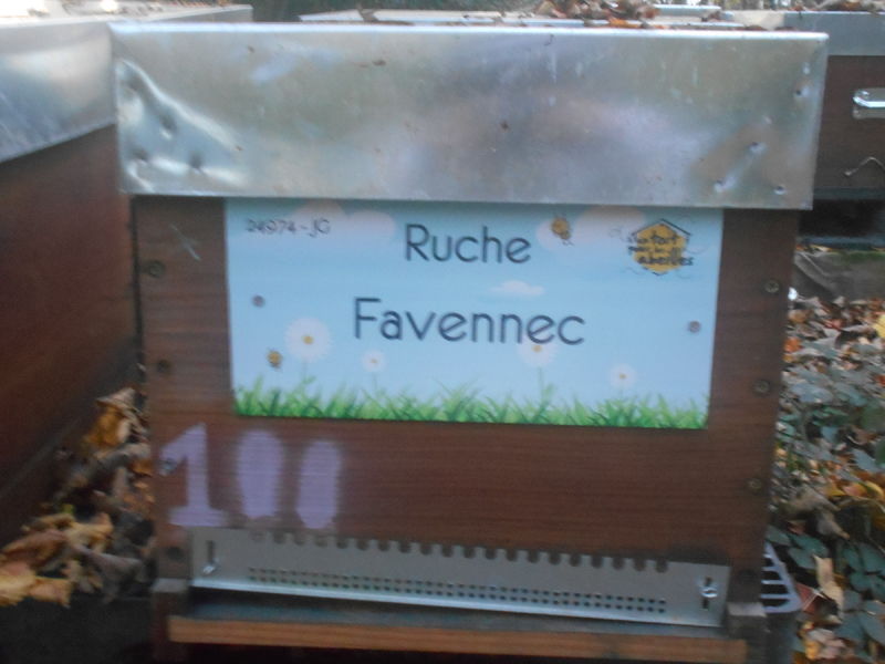 La ruche