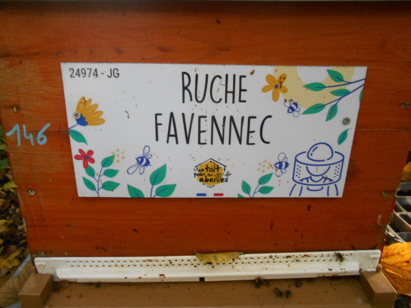 La ruche Favennec