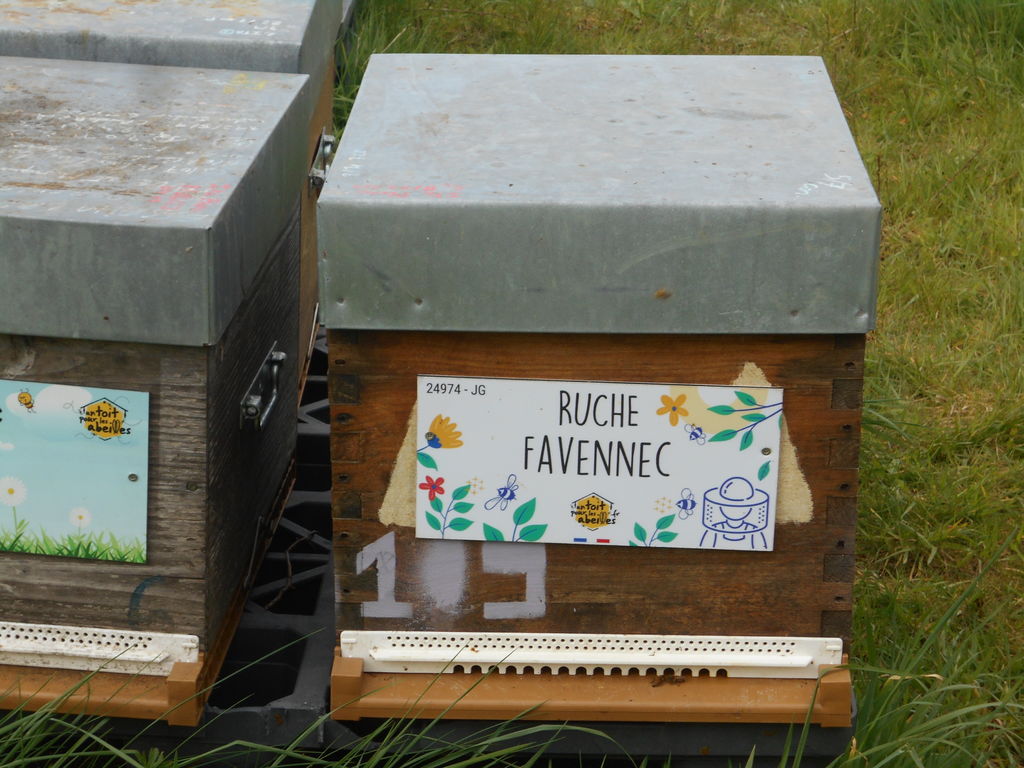 La ruche
