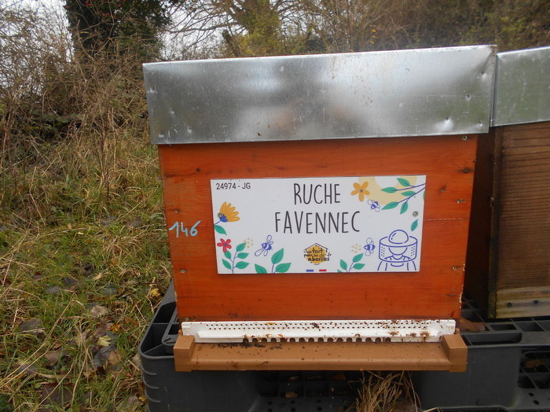 La ruche Favennec