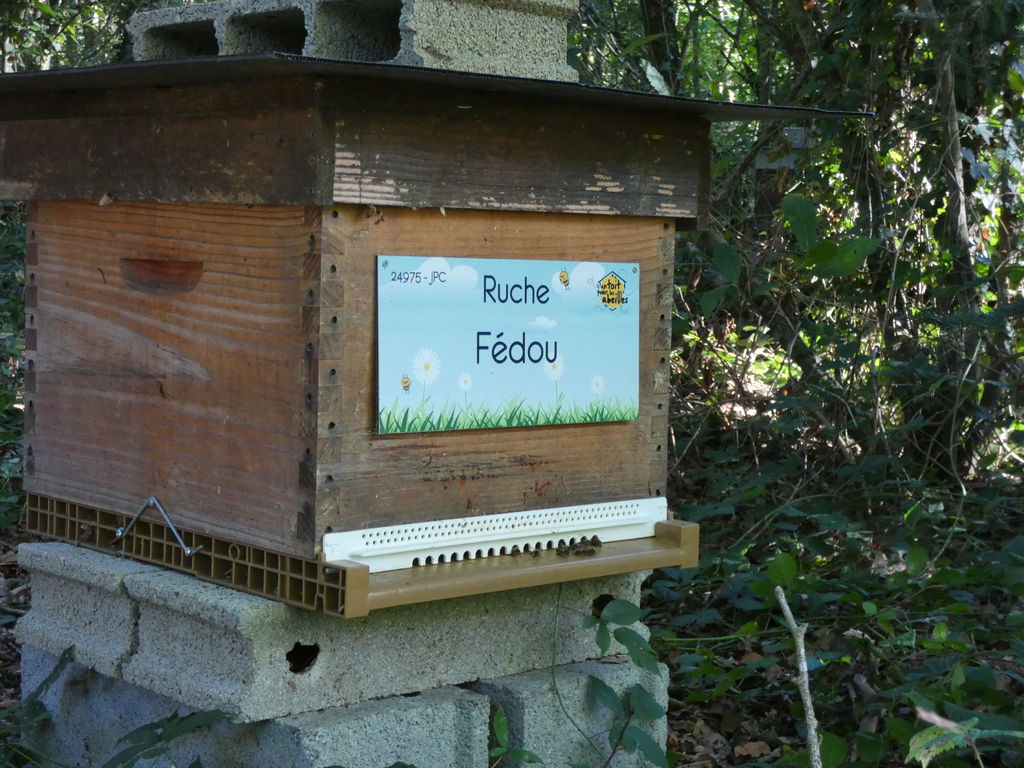 La ruche Fédou