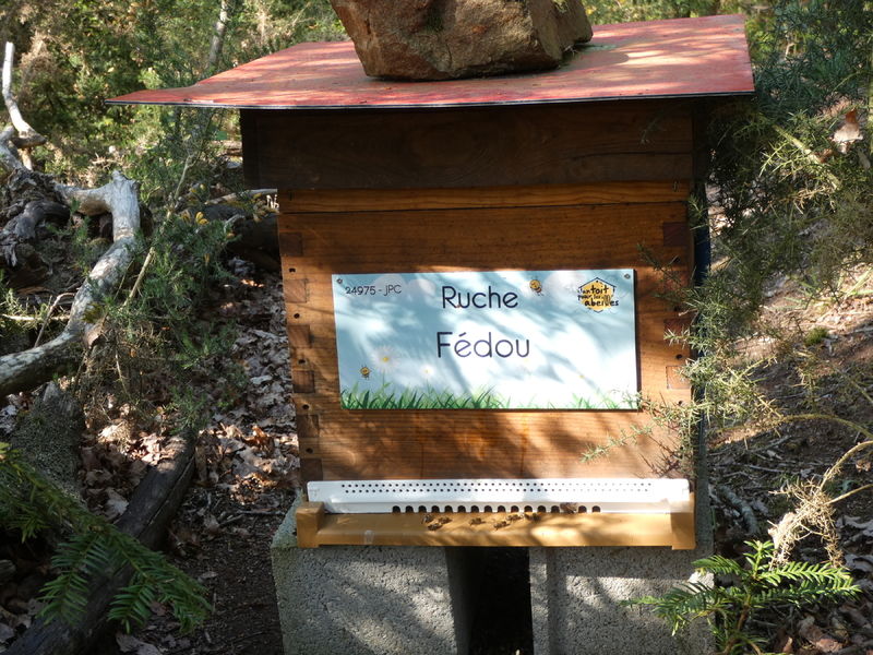 La ruche Fédou