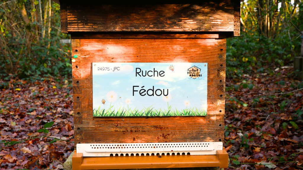 La ruche Fédou