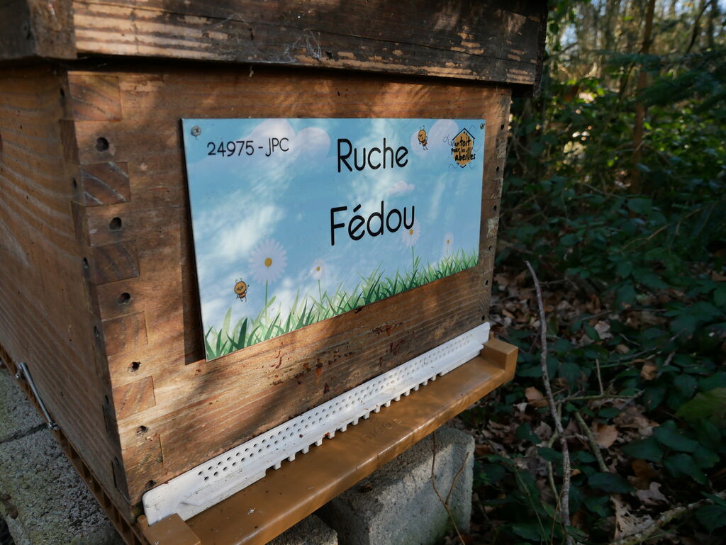 La ruche Fédou