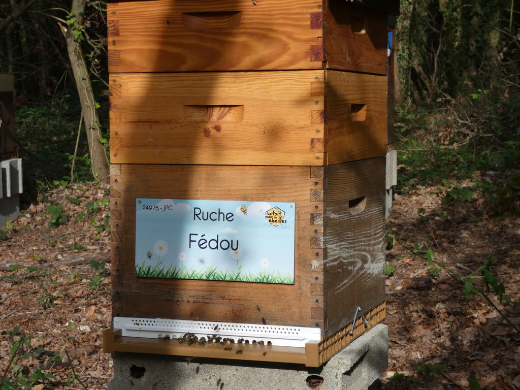 La ruche Fédou