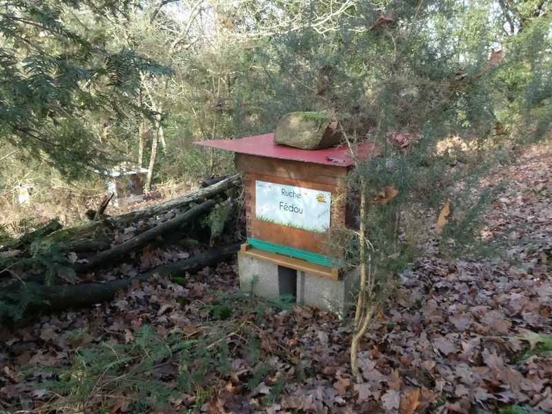 La ruche Fédou