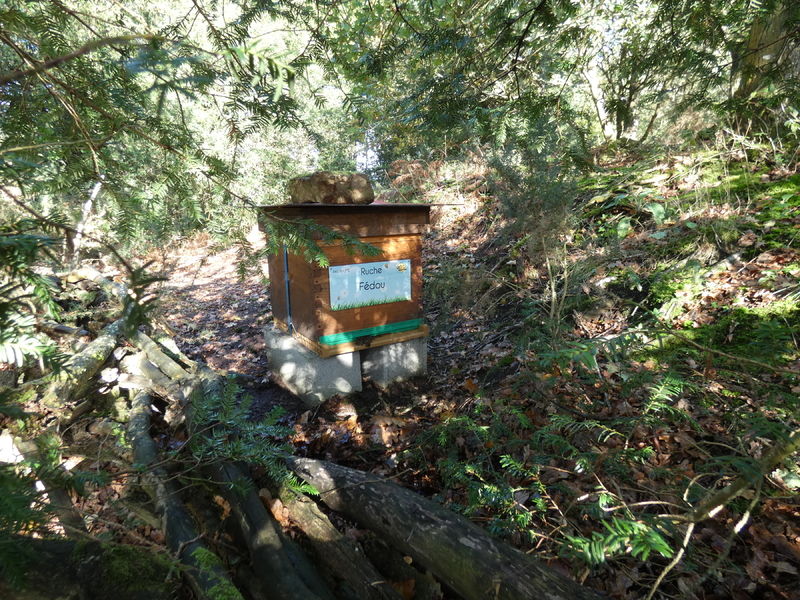 La ruche Fédou