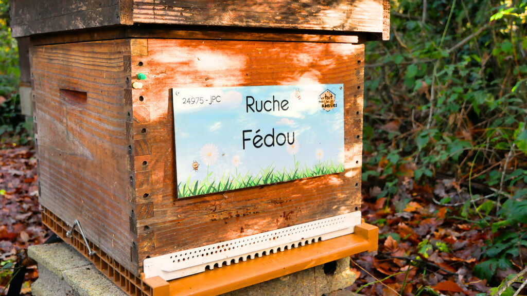 La ruche Fédou