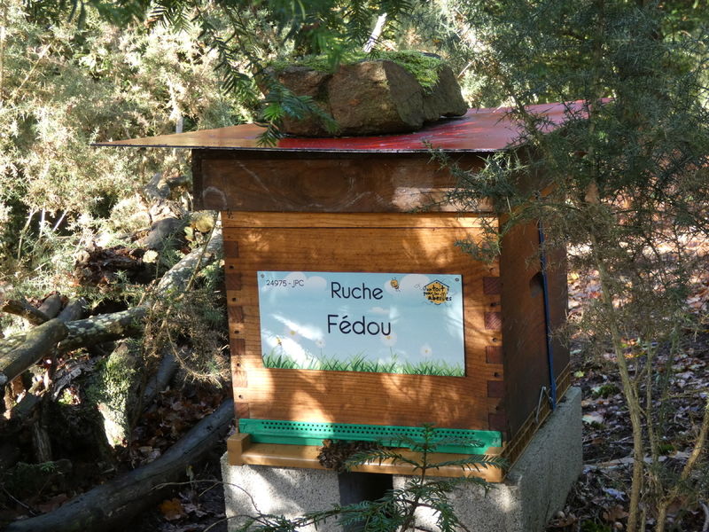 La ruche Fédou