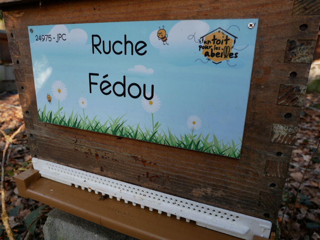 La ruche Fédou