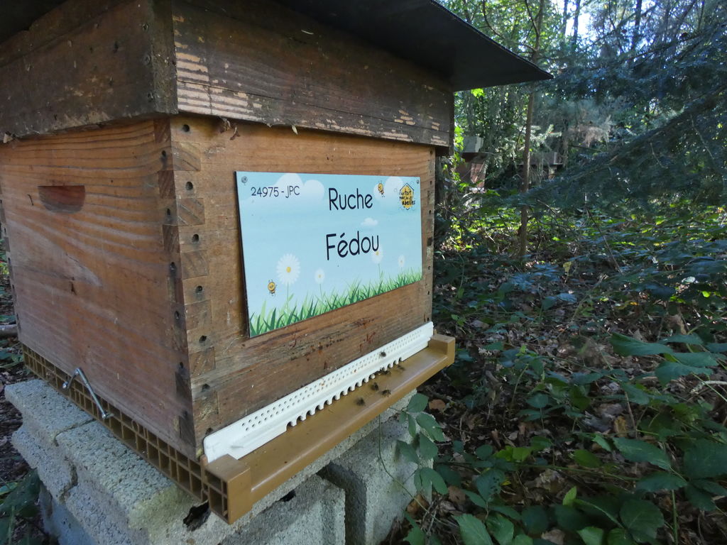 La ruche Fédou