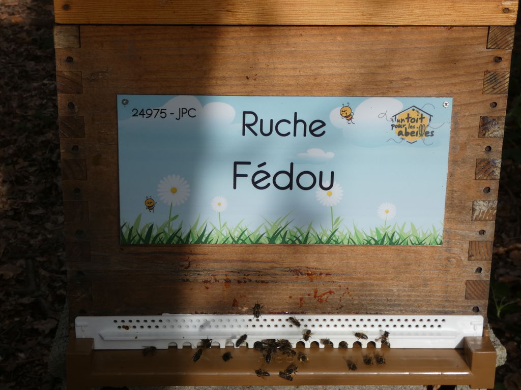 La ruche Fédou