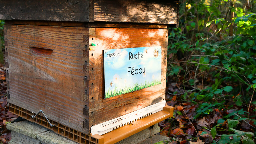 La ruche Fédou