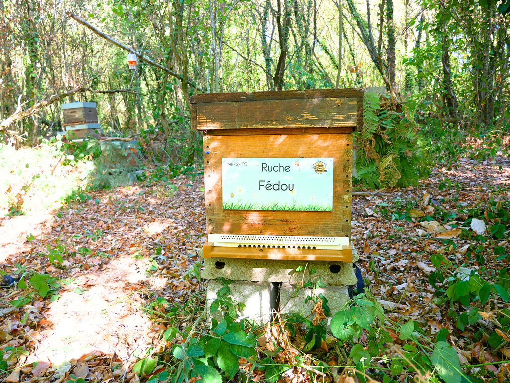 La ruche Fédou