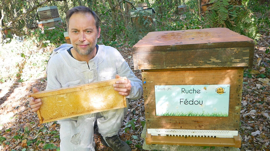 La ruche Fédou