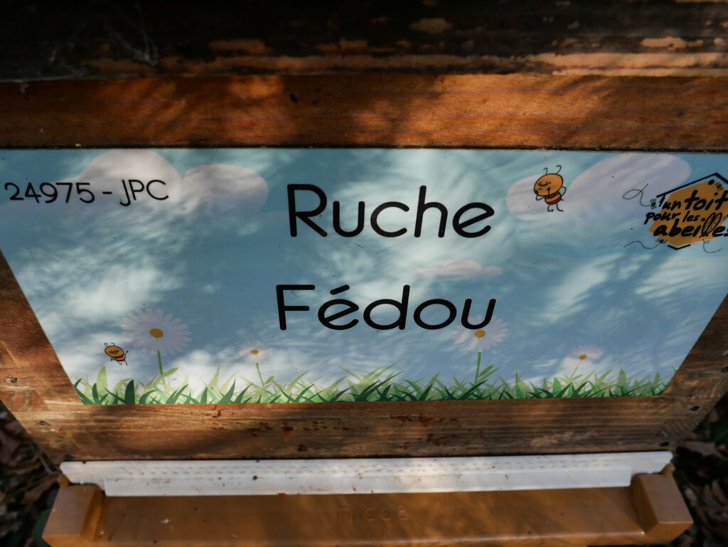 La ruche Fédou