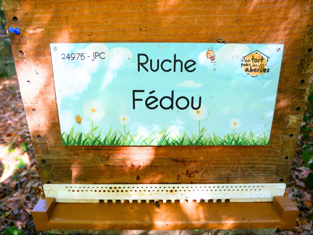La ruche Fédou