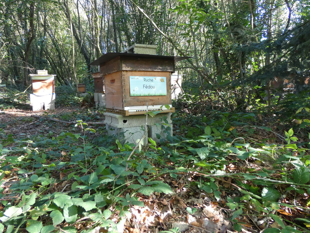 La ruche Fédou