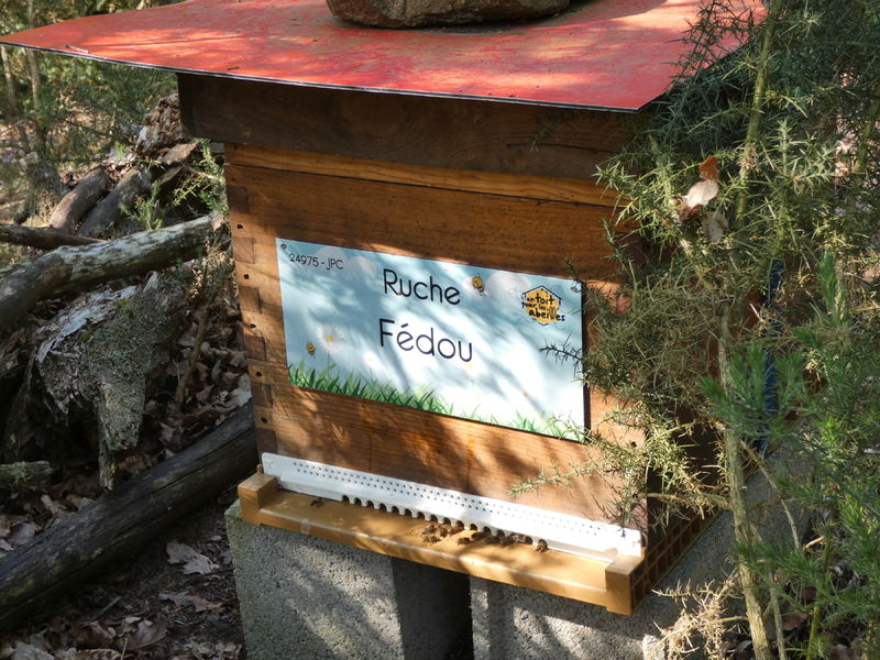 La ruche Fédou