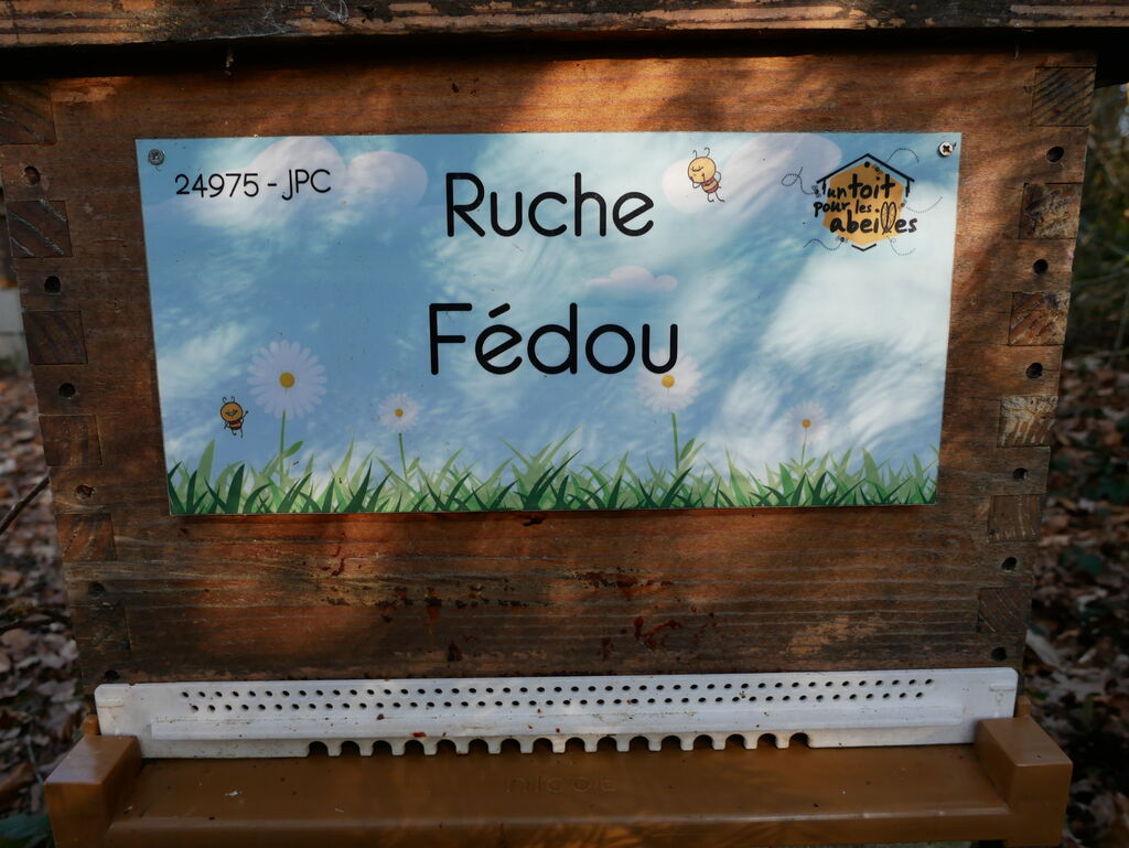 La ruche Fédou