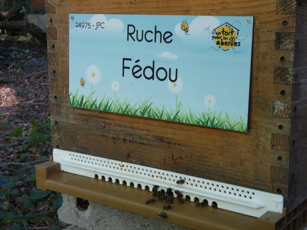 La ruche Fédou