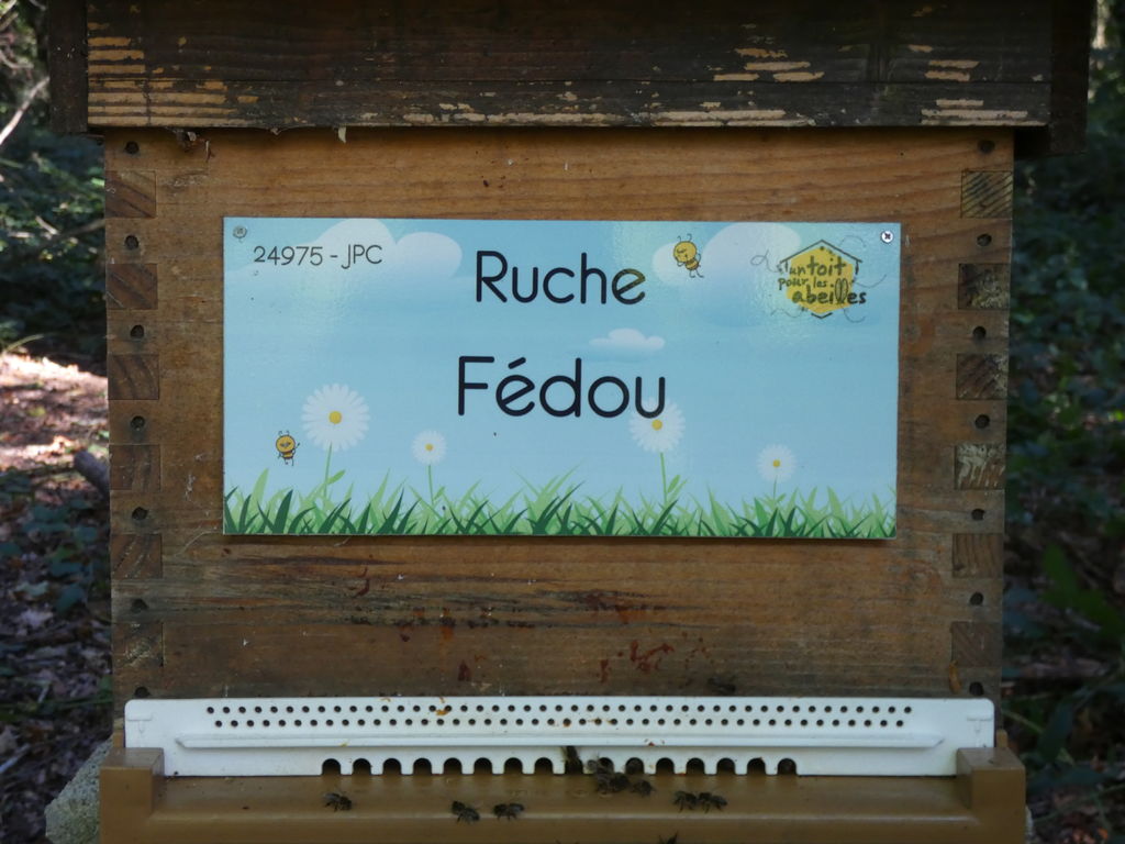 La ruche Fédou