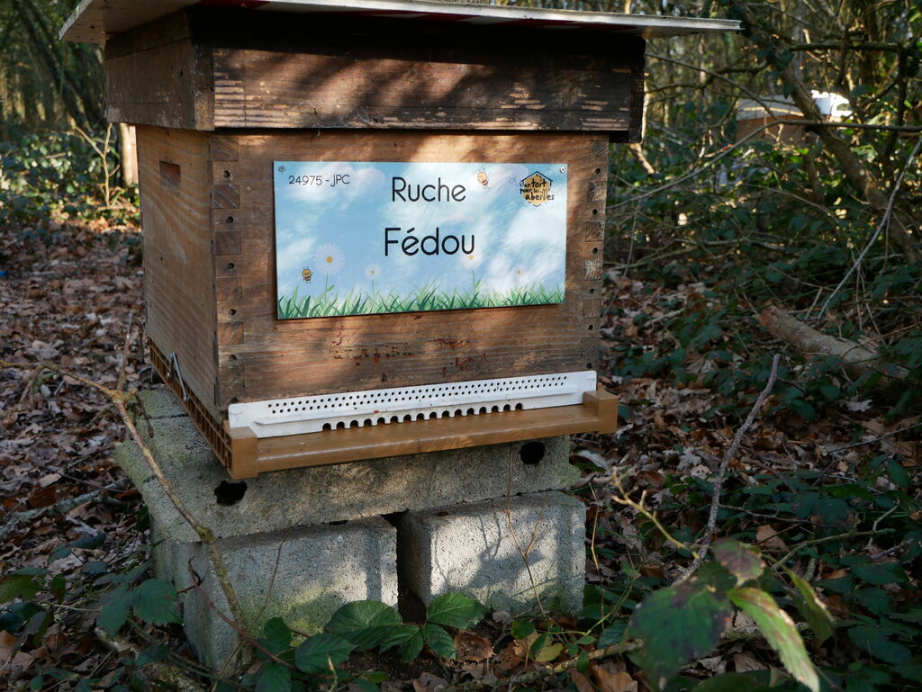 La ruche Fédou