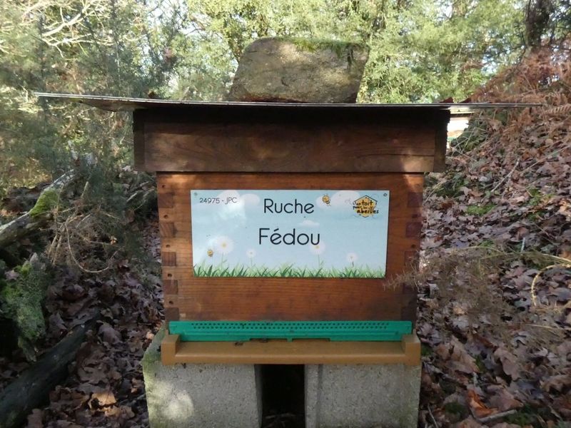 La ruche Fédou