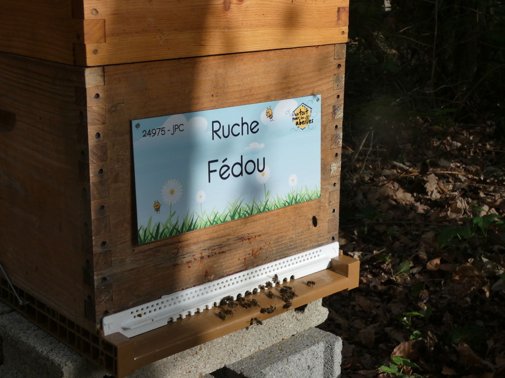 La ruche Fédou