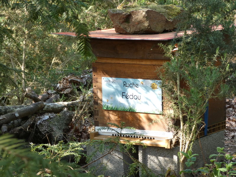 La ruche Fédou