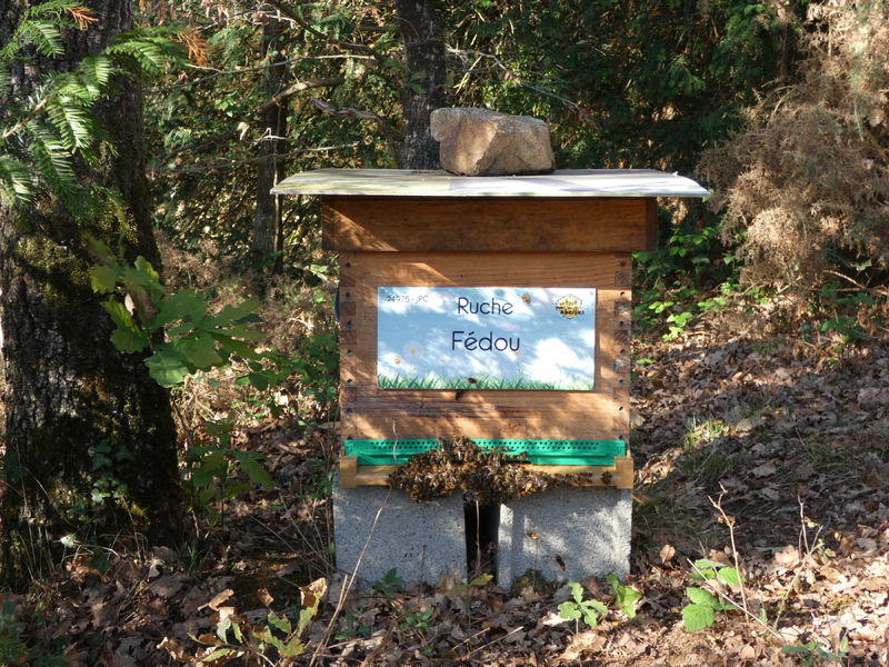 La ruche Fédou