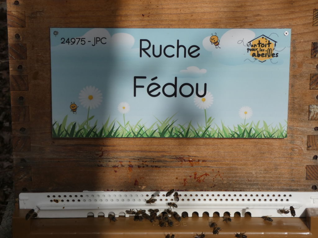 La ruche Fédou