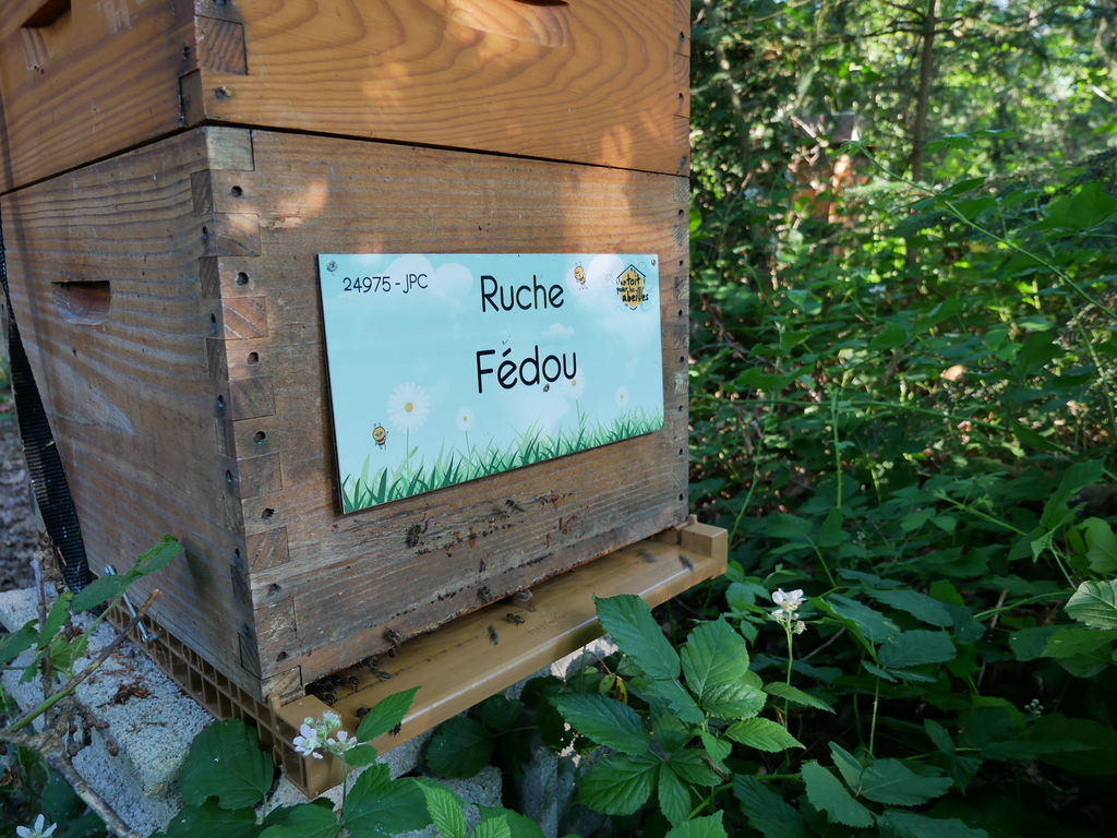 La ruche Fédou