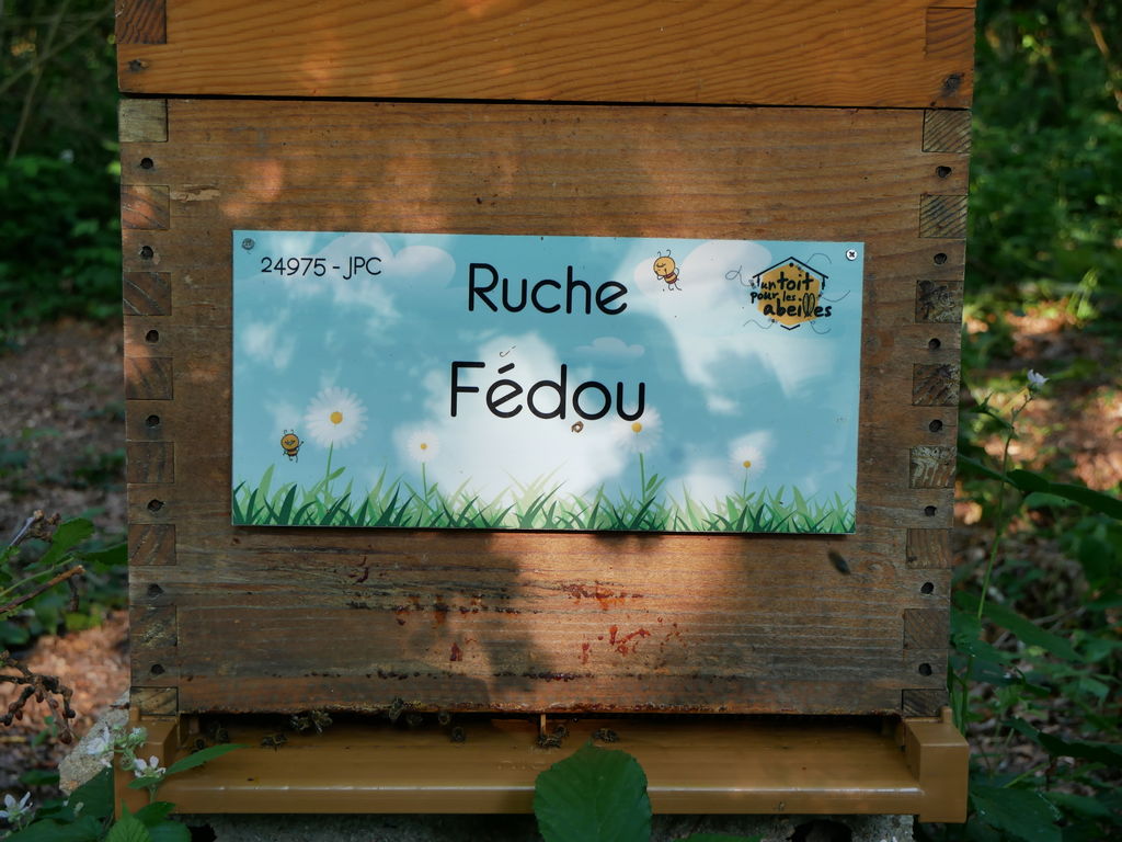 La ruche Fédou