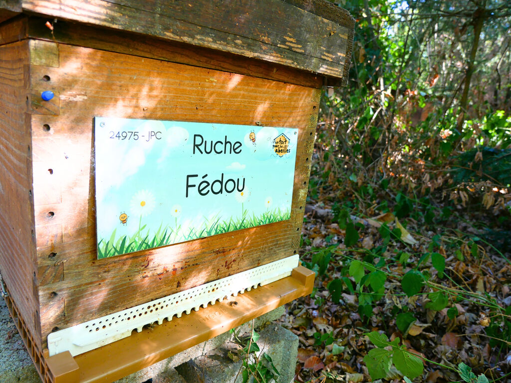 La ruche Fédou