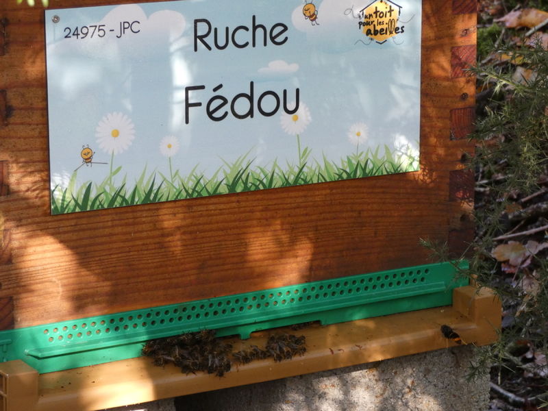 La ruche Fédou