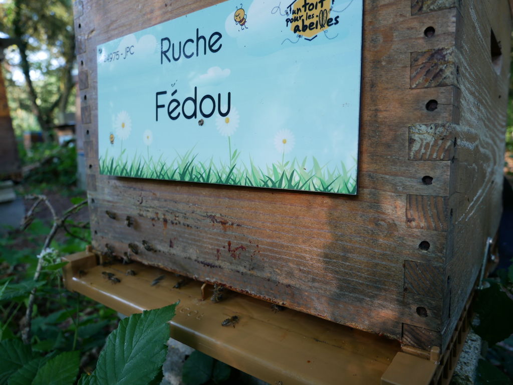 La ruche Fédou