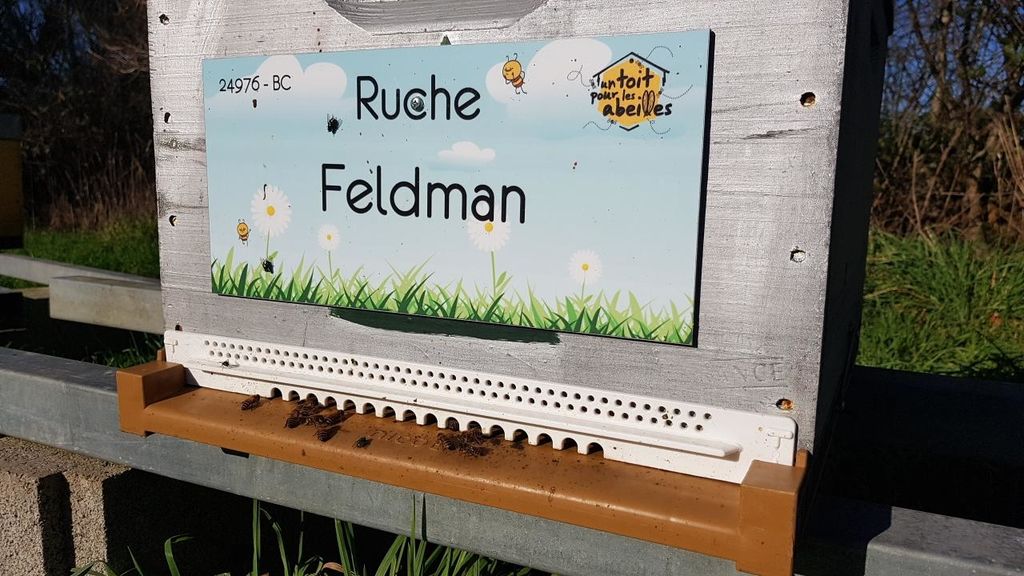 La ruche Feldman