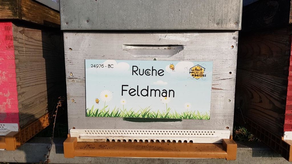 La ruche Feldman