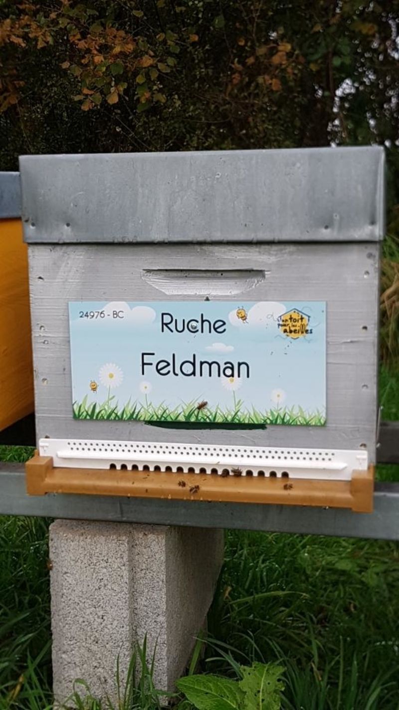 La ruche Feldman