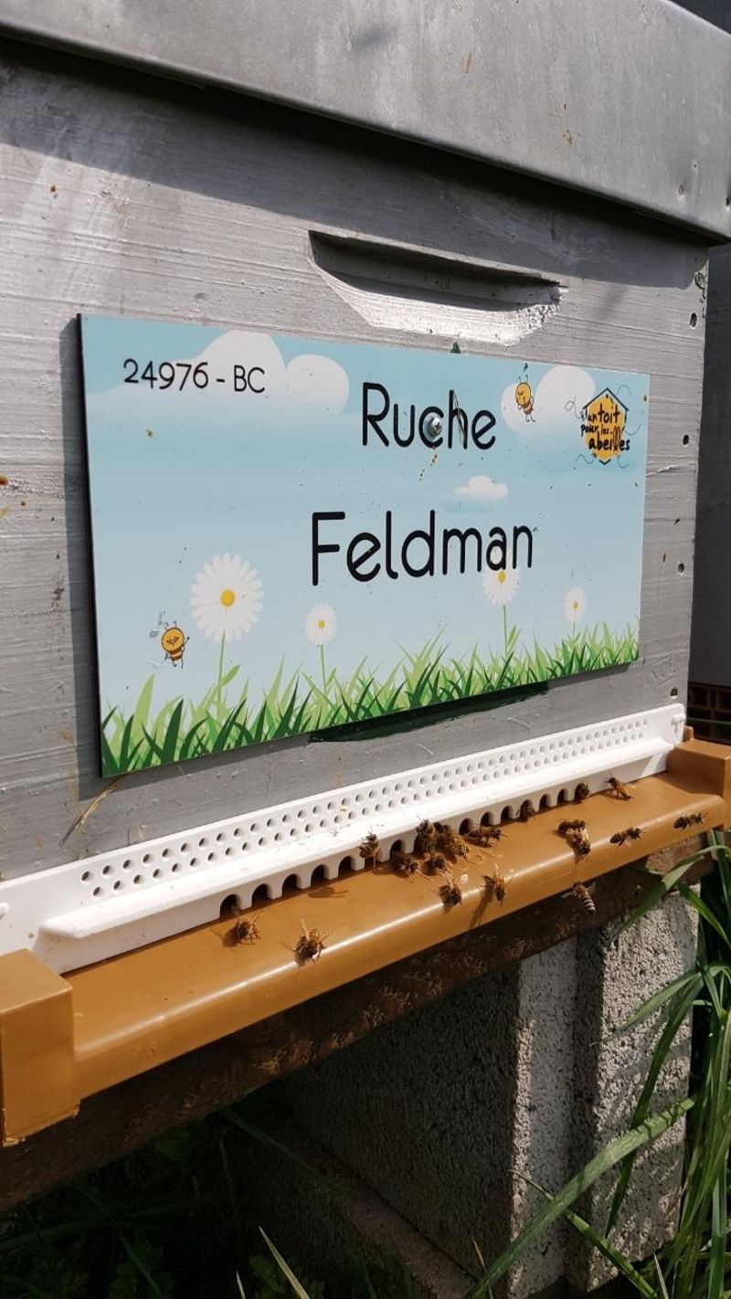 La ruche Feldman