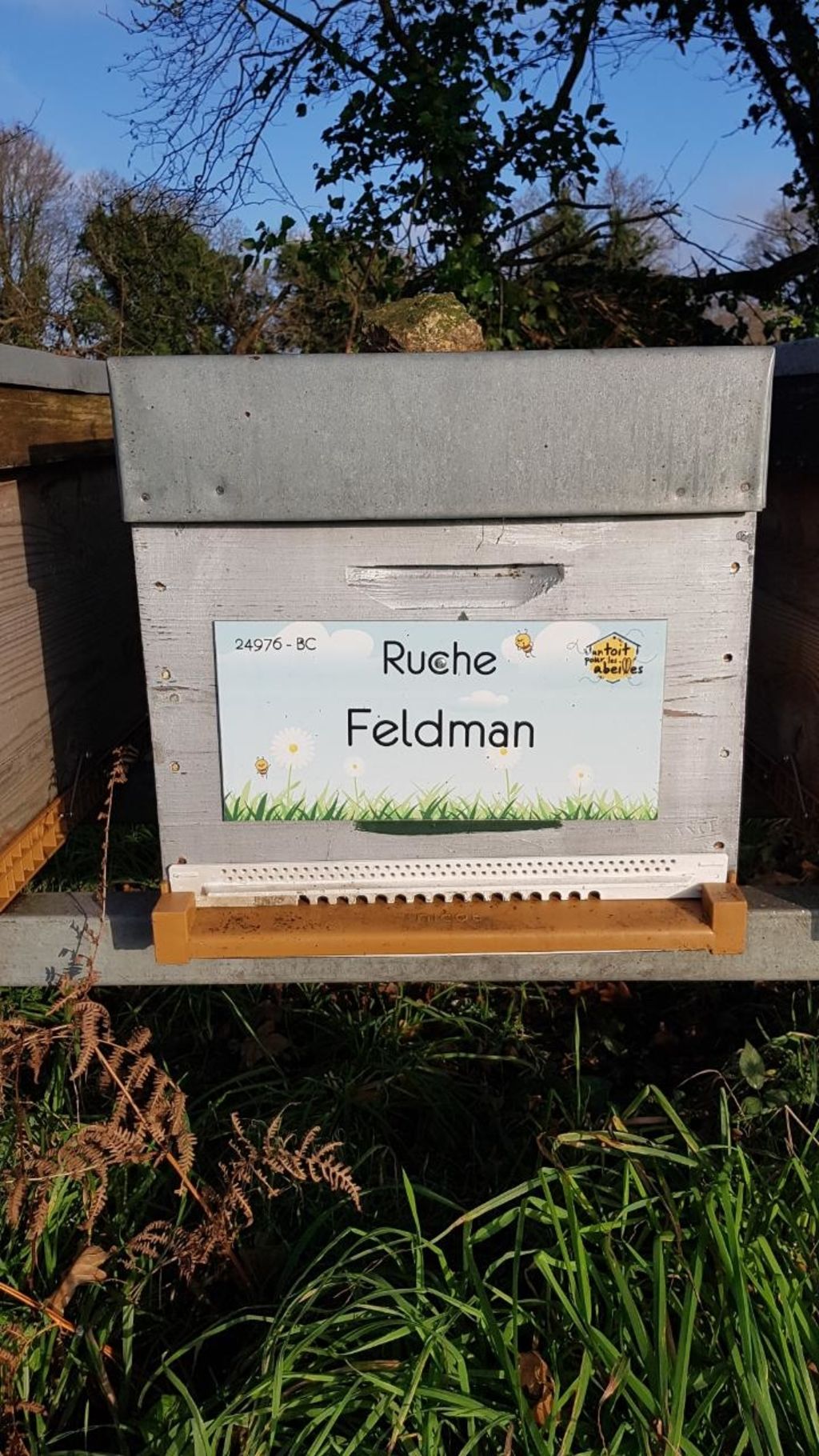 La ruche Feldman